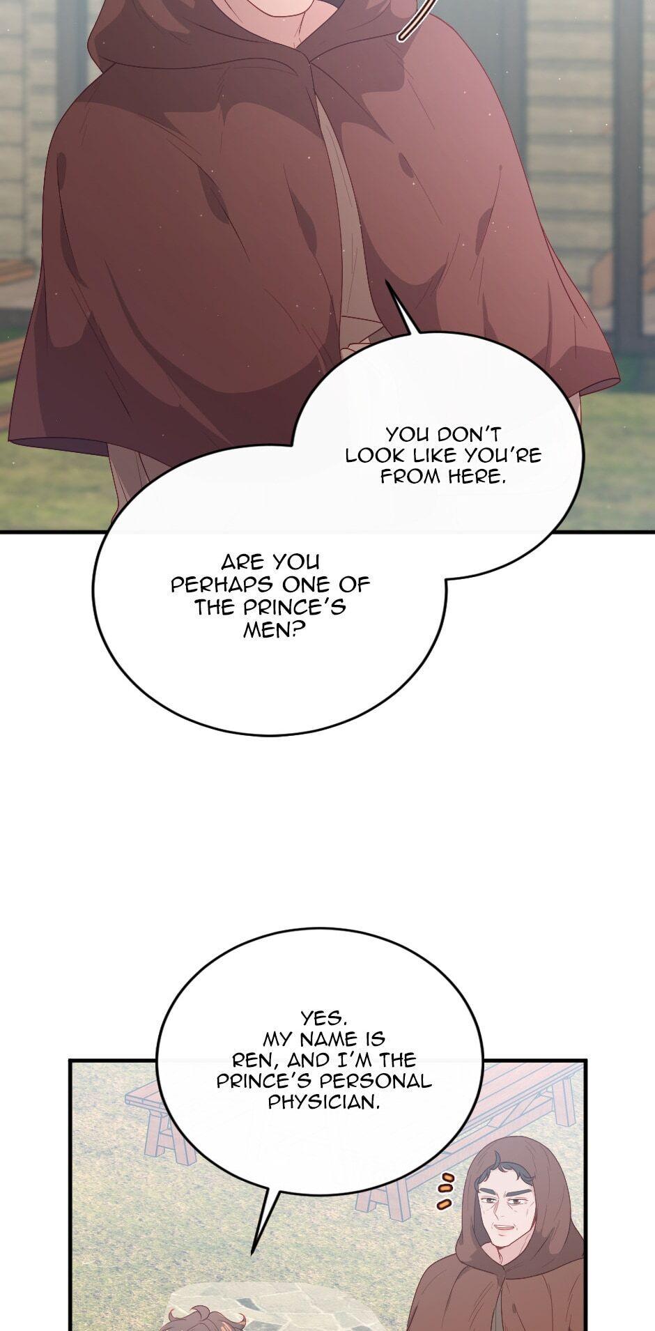 The Prince’s Personal Physician Chapter 17 - Page 3