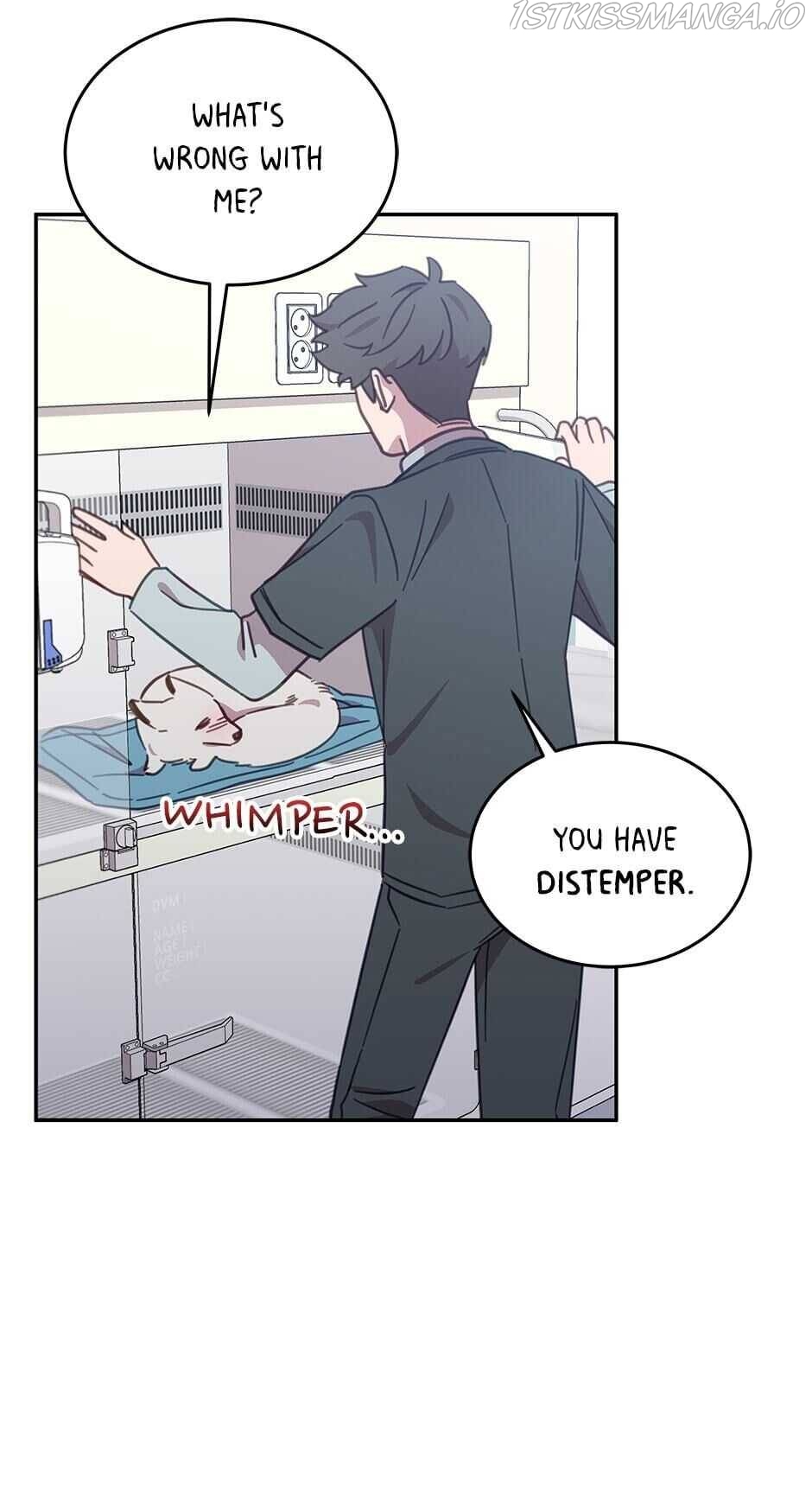 An animal hospital in the border area Chapter 25 - Page 26