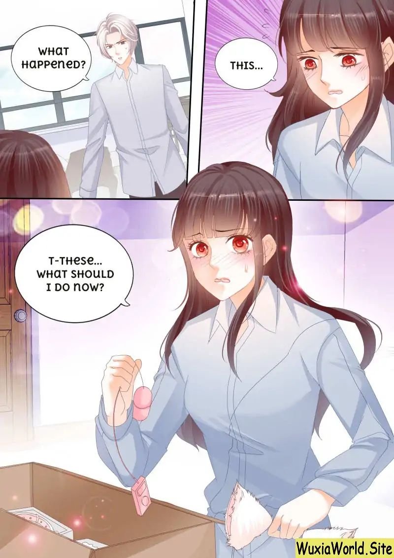 The Beautiful Wife of the Whirlwind Marriage Chapter 107 - Page 5