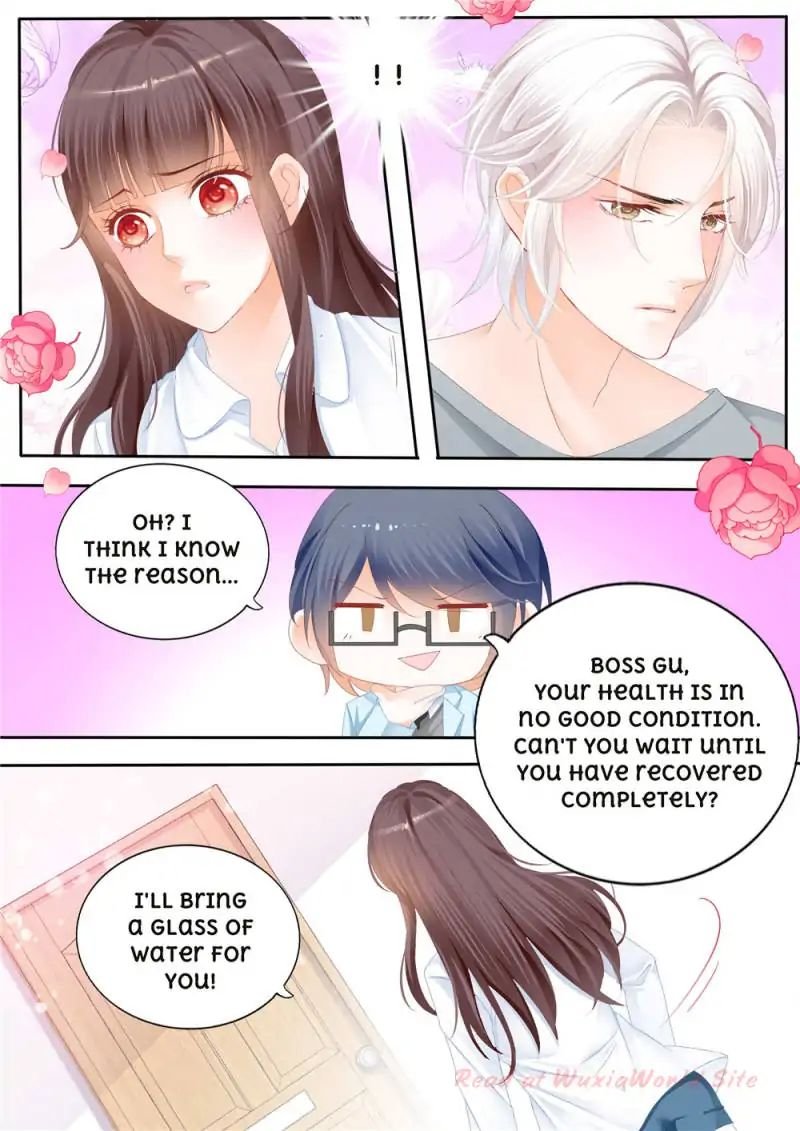 The Beautiful Wife of the Whirlwind Marriage Chapter 114 - Page 1
