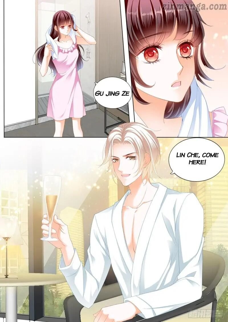 The Beautiful Wife of the Whirlwind Marriage Chapter 241 - Page 0