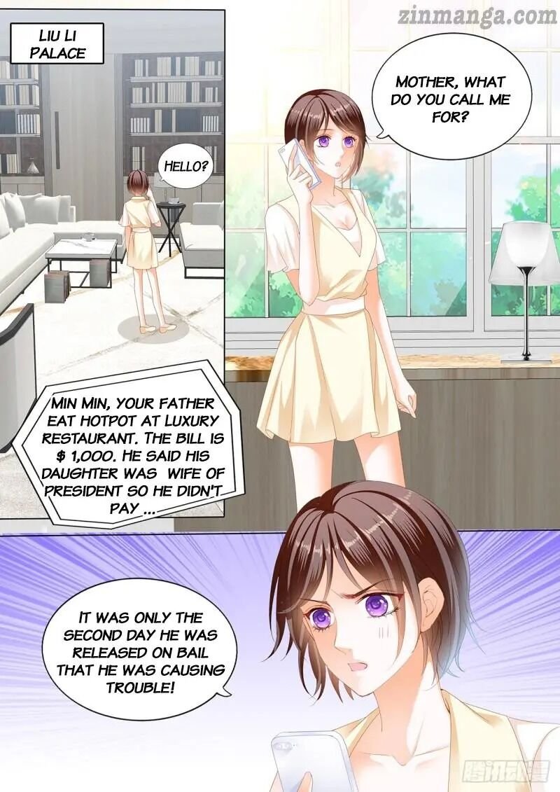 The Beautiful Wife of the Whirlwind Marriage Chapter 242 - Page 0