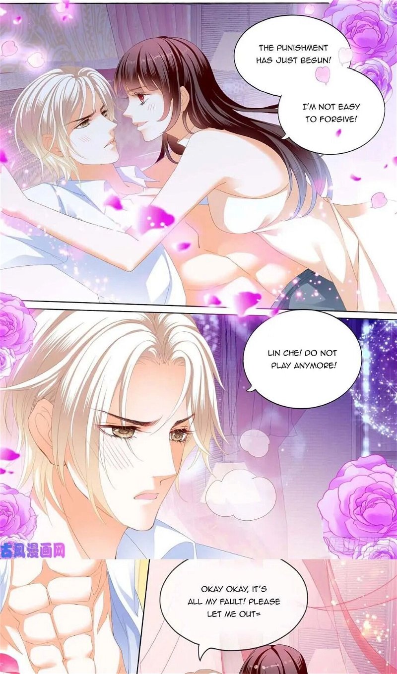 The Beautiful Wife of the Whirlwind Marriage Chapter 248 - Page 0