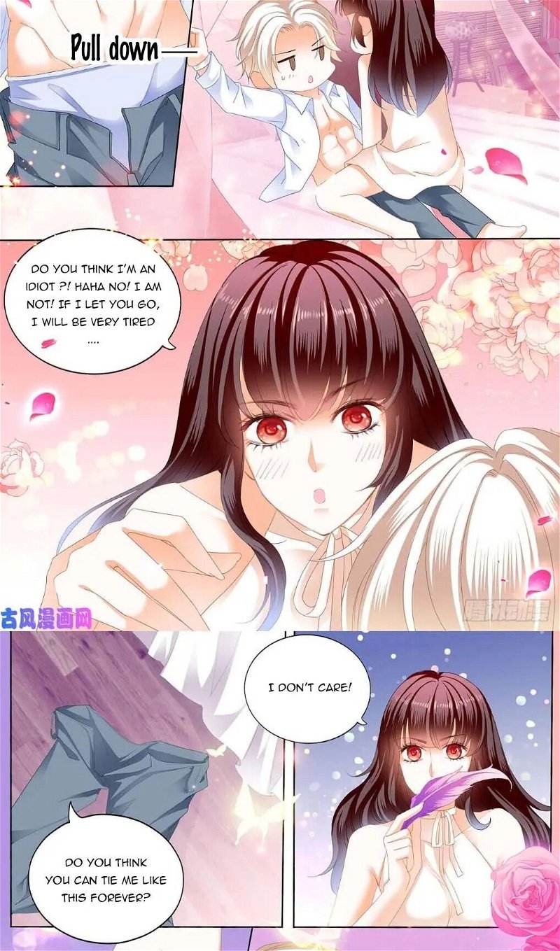 The Beautiful Wife of the Whirlwind Marriage Chapter 248 - Page 1