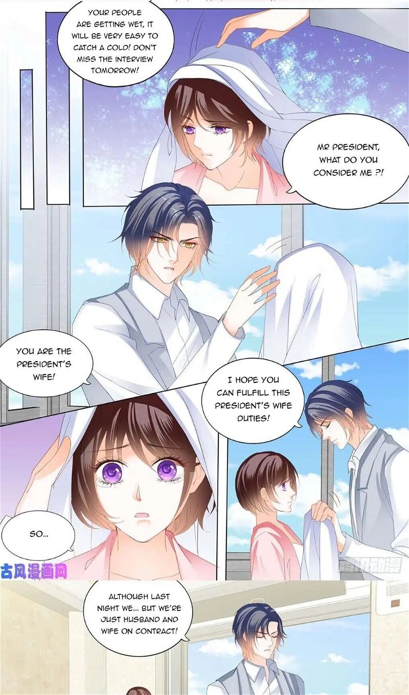 The Beautiful Wife of the Whirlwind Marriage Chapter 249 - Page 5