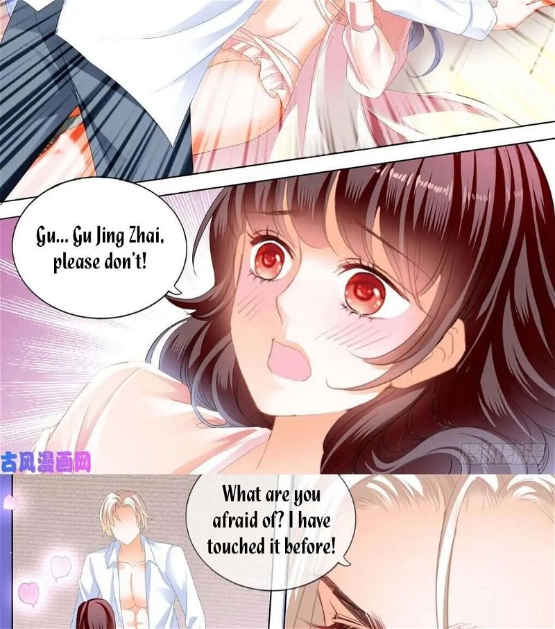 The Beautiful Wife of the Whirlwind Marriage Chapter 250 - Page 13
