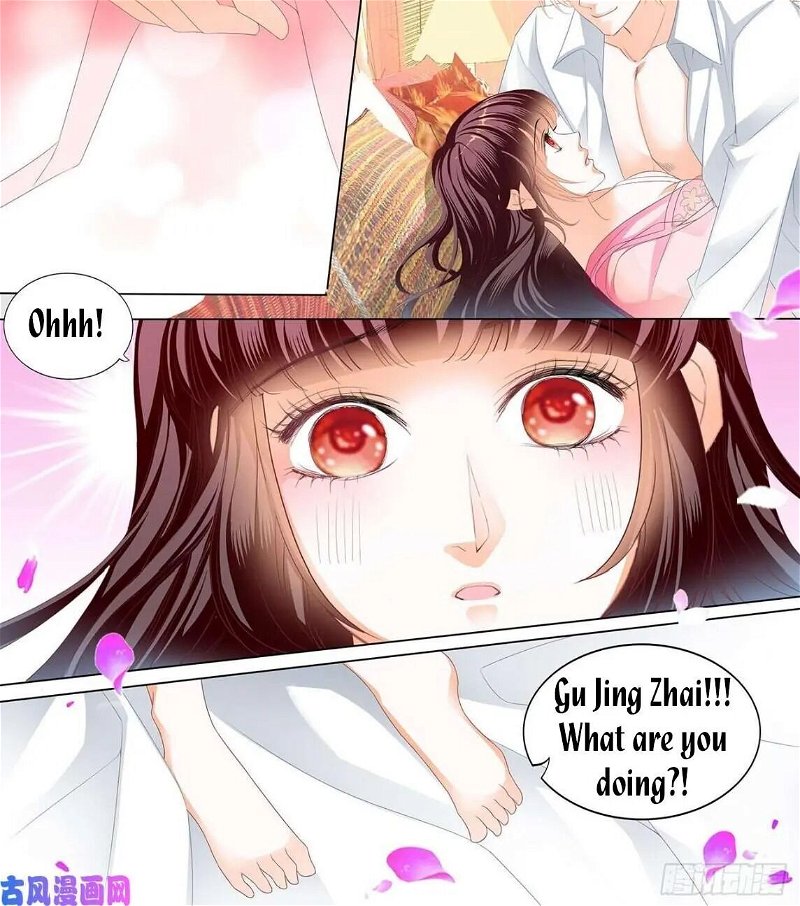 The Beautiful Wife of the Whirlwind Marriage Chapter 251 - Page 4