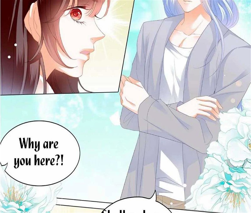 The Beautiful Wife of the Whirlwind Marriage Chapter 253 - Page 2