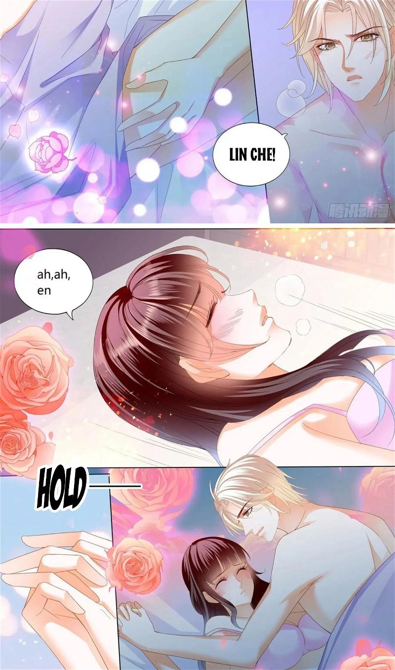 The Beautiful Wife of the Whirlwind Marriage Chapter 274 - Page 3