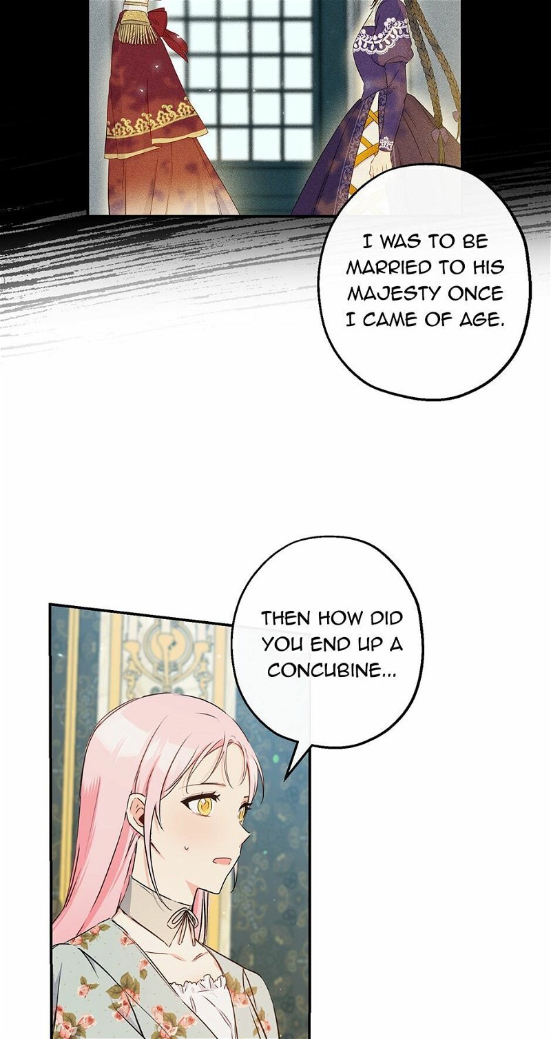 This Is An Obvious Fraudulent Marriage Chapter 68 - Page 6