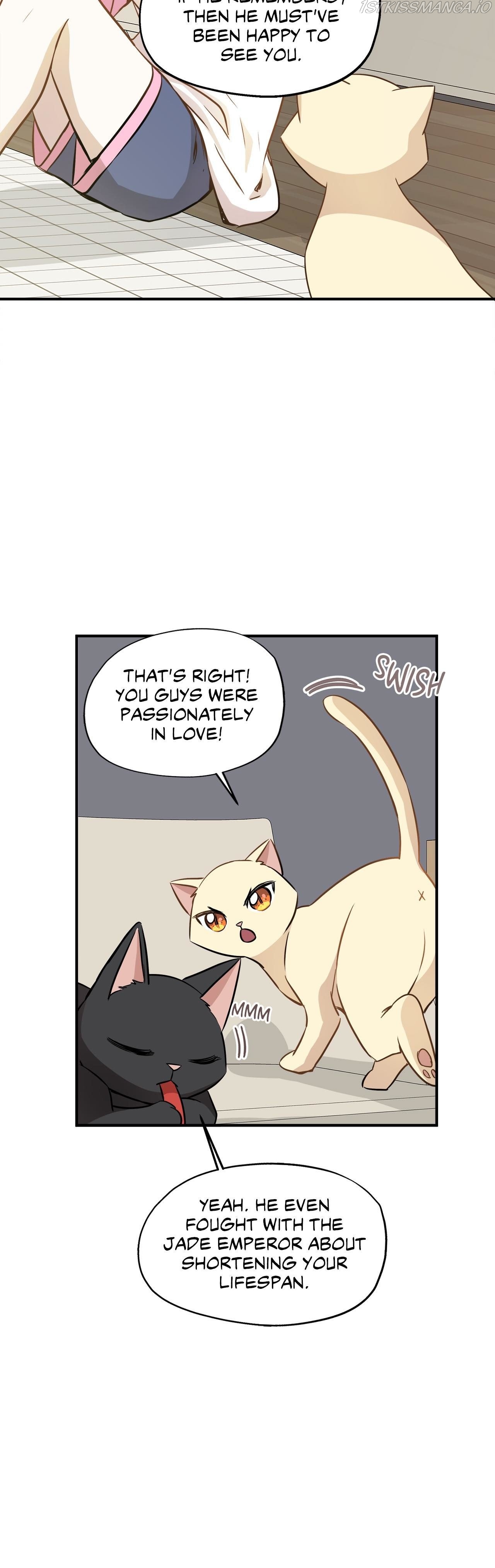 Just for a Meowment Chapter 58 - Page 12