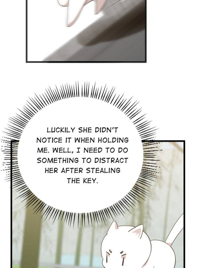 Queen of Posion: The Legend of a Super Agent, Doctor and Princess Chapter 138 - Page 28
