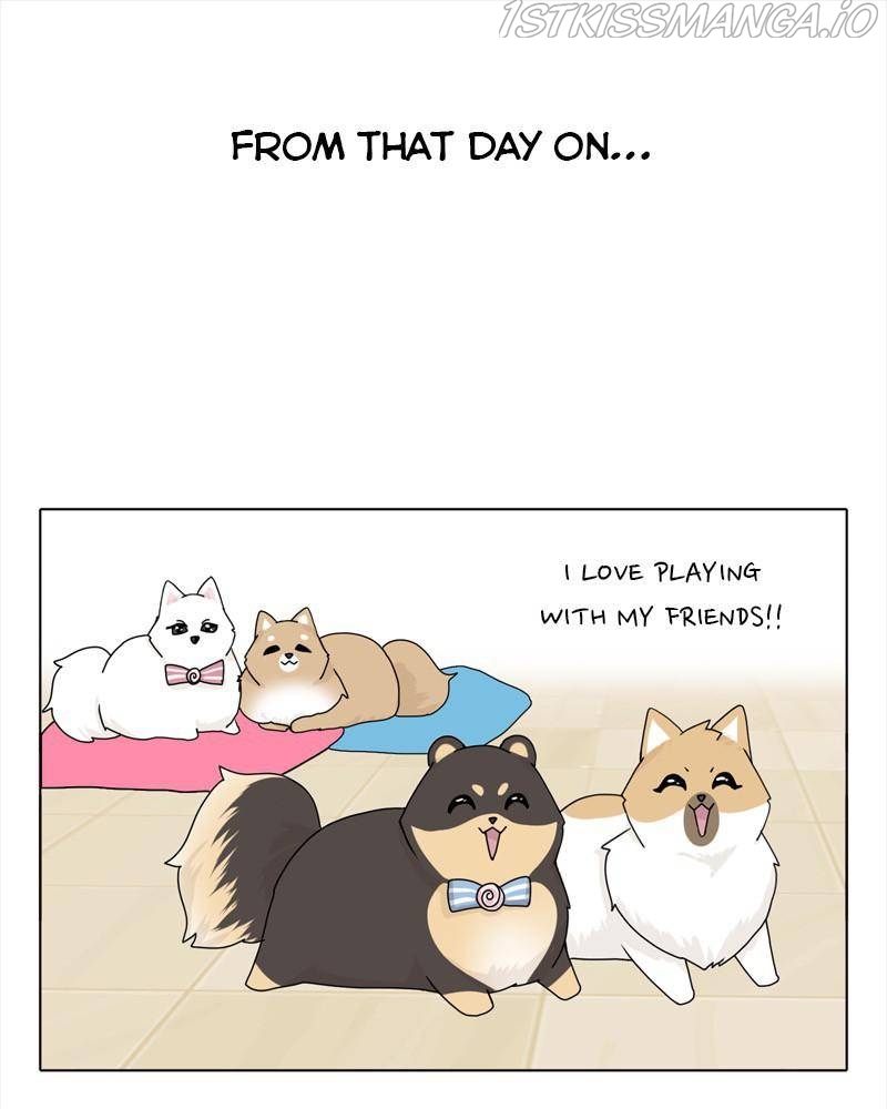 The Dog Diaries Chapter 40 - Page 56