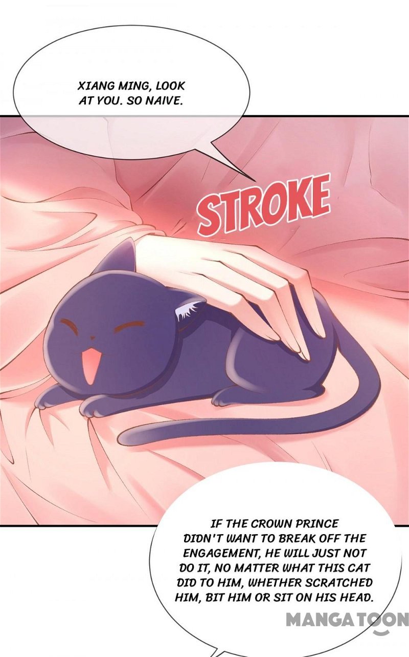Princess is a Bloodthirsty Surgeon Chapter 19 - Page 7