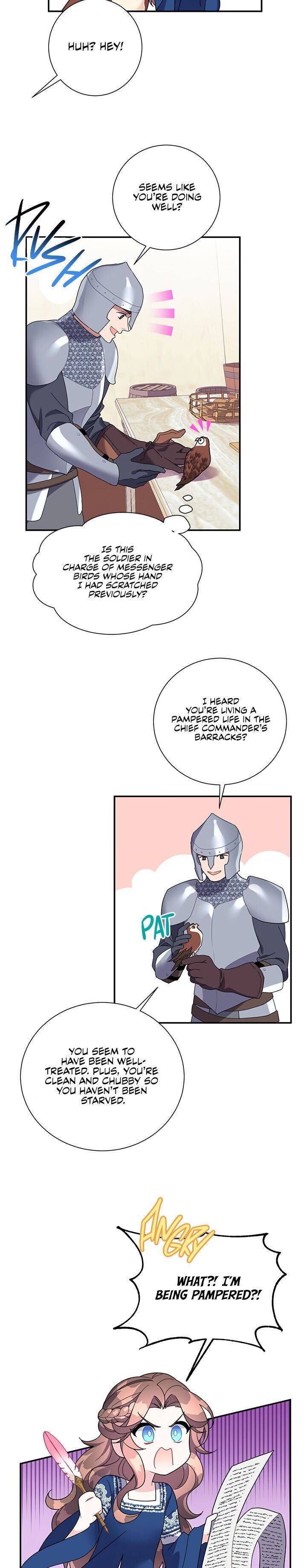 Cavier Falcon Princess Chapter 20 - Page 2