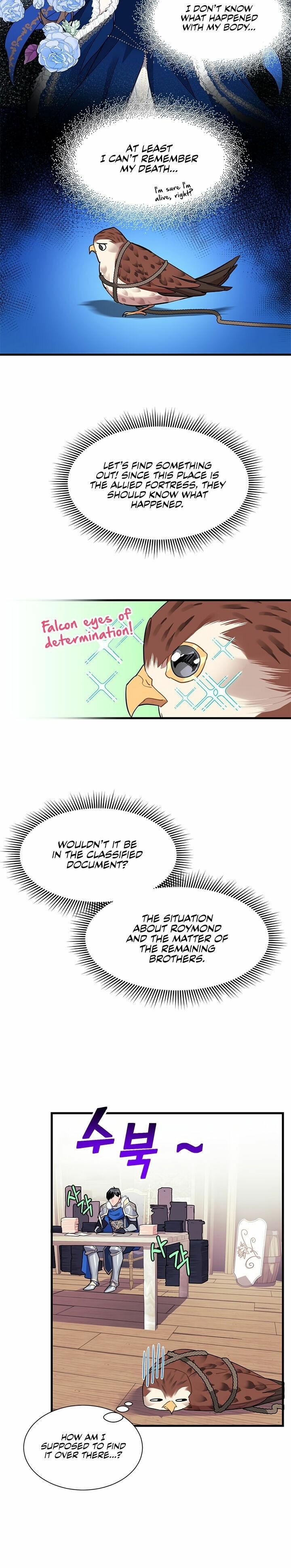 Cavier Falcon Princess Chapter 4 - Page 18