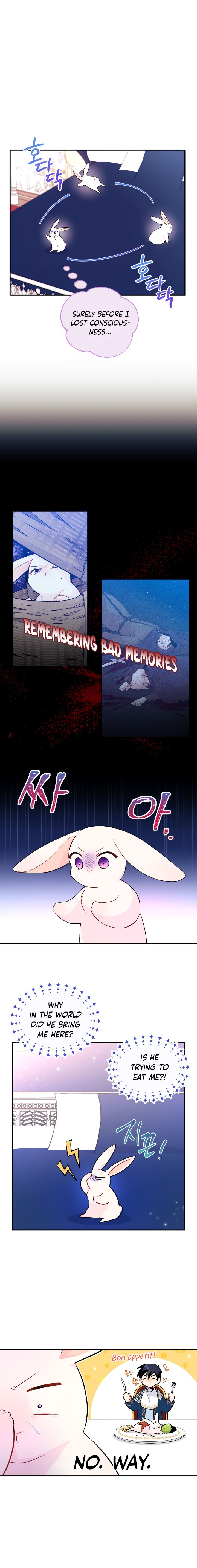 A Symbiotic Relationship Between A Rabbit And A Black Panther Chapter 2 - Page 2