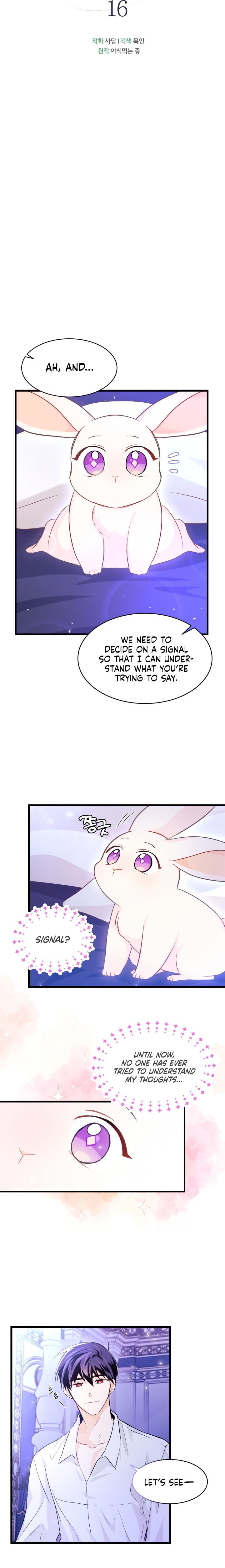 A Symbiotic Relationship Between A Rabbit And A Black Panther Chapter 16 - Page 2