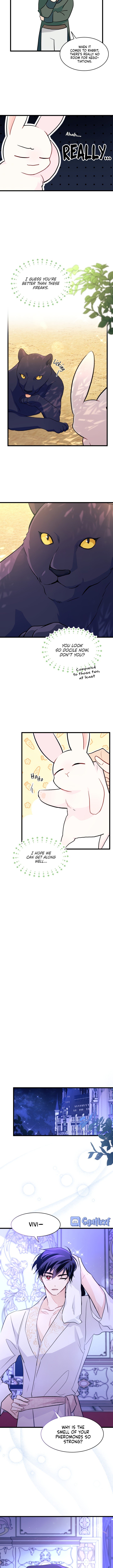 A Symbiotic Relationship Between A Rabbit And A Black Panther Chapter 23 - Page 7