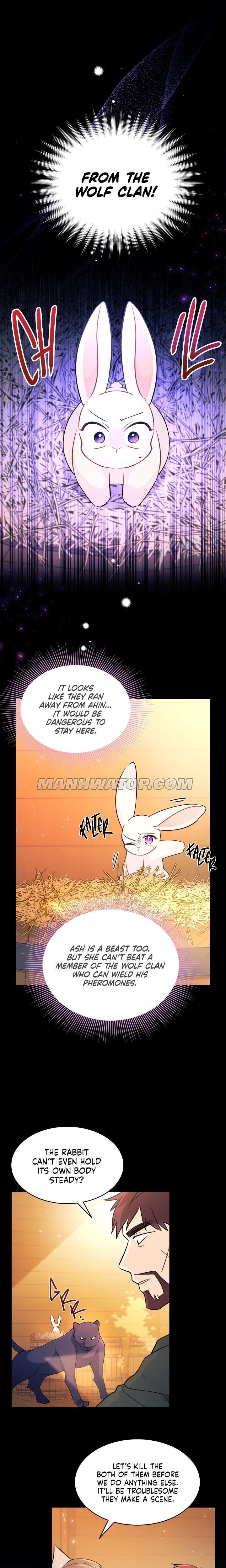 A Symbiotic Relationship Between A Rabbit And A Black Panther Chapter 28 - Page 8