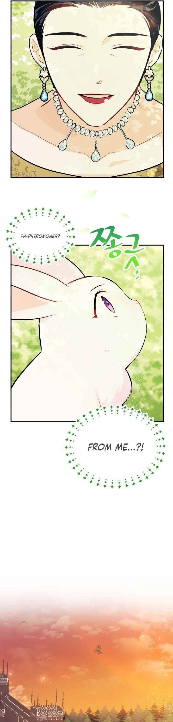 A Symbiotic Relationship Between A Rabbit And A Black Panther Chapter 5 - Page 11