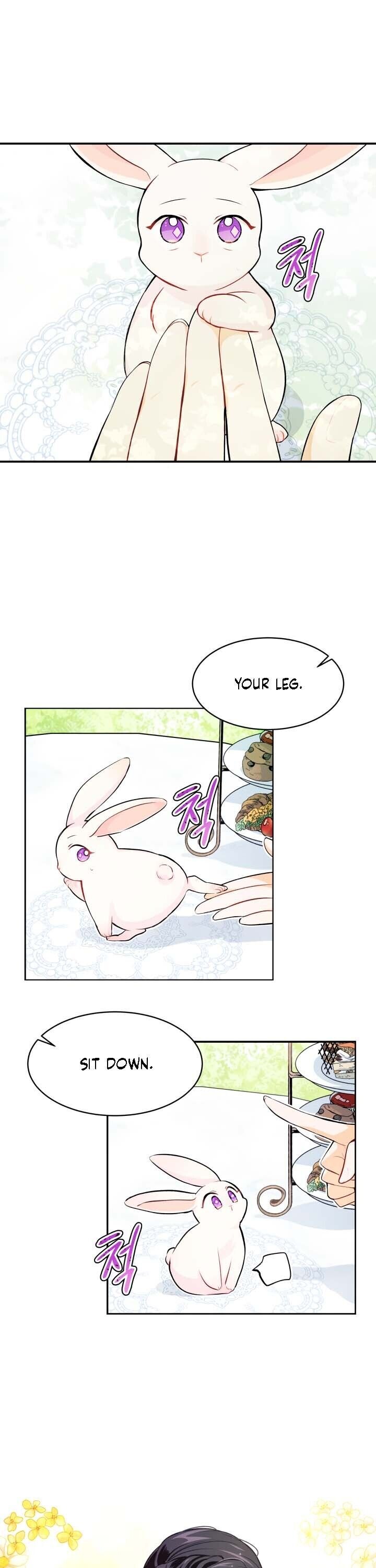 A Symbiotic Relationship Between A Rabbit And A Black Panther Chapter 5 - Page 5