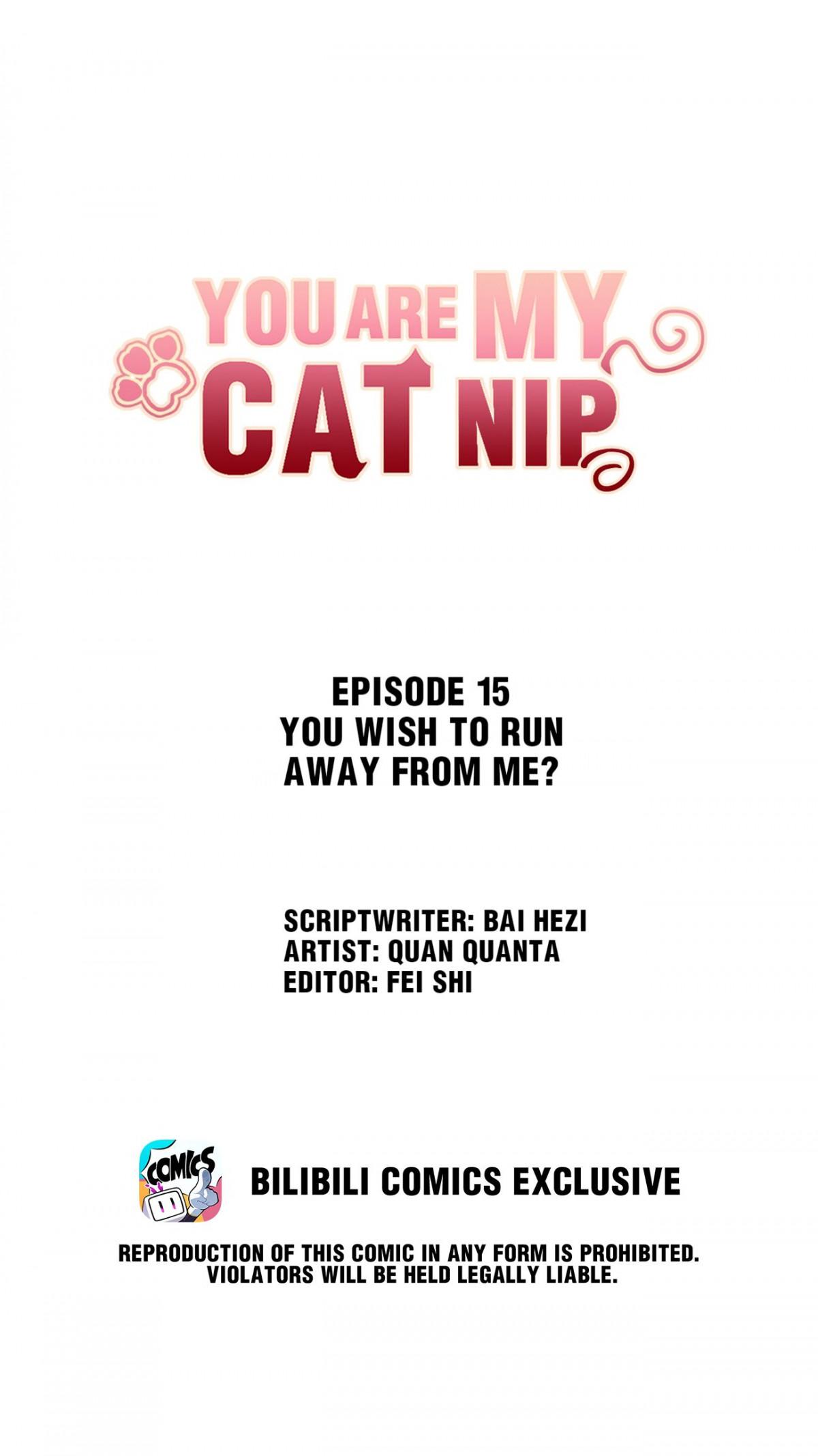 You Are My Catnip Chapter 15.1 - Page 0