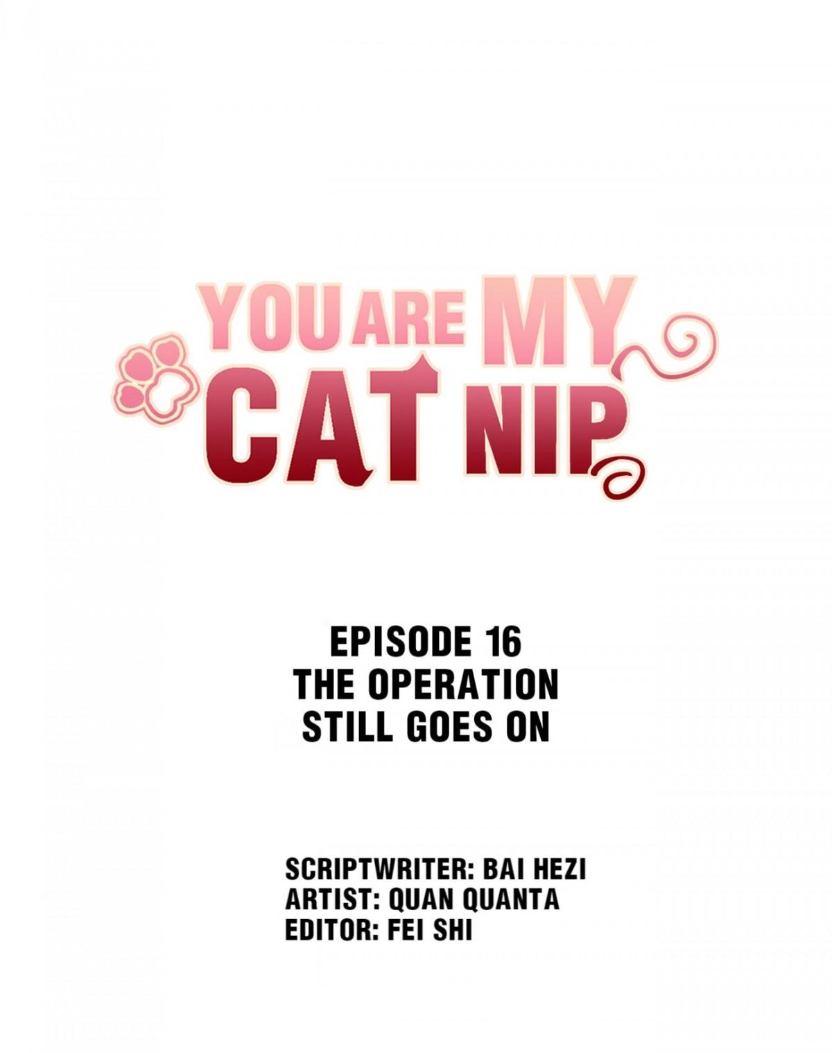 You Are My Catnip Chapter 16.1 - Page 1