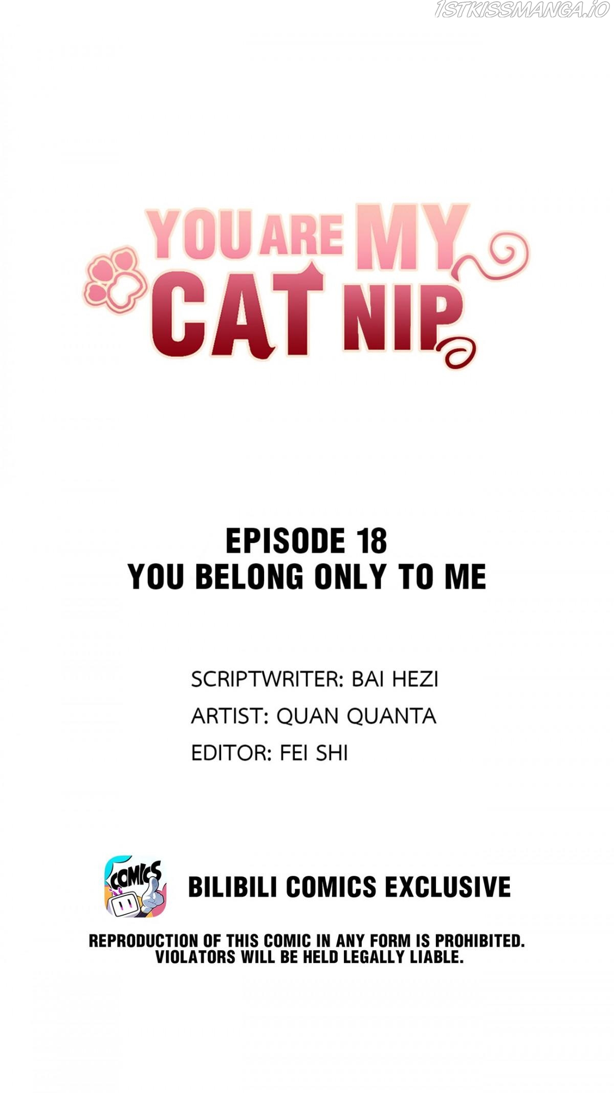You Are My Catnip Chapter 18.1 - Page 0