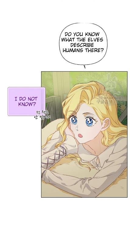 The Golden Haired Elementalist Chapter 57 - Page 41