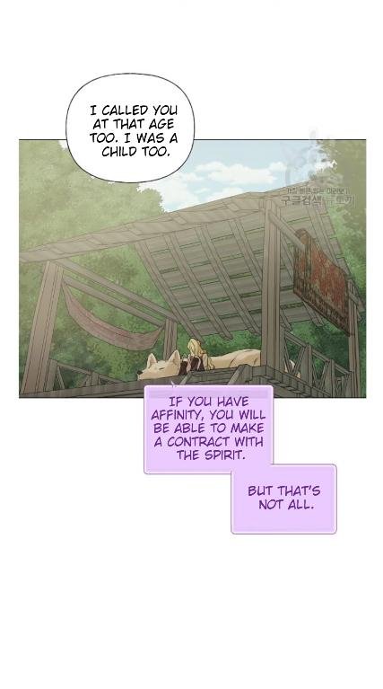The Golden Haired Elementalist Chapter 57 - Page 48