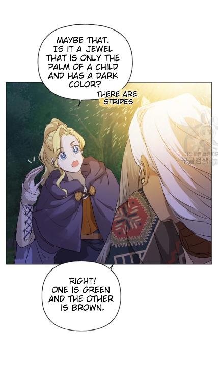 The Golden Haired Elementalist Chapter 58 - Page 37