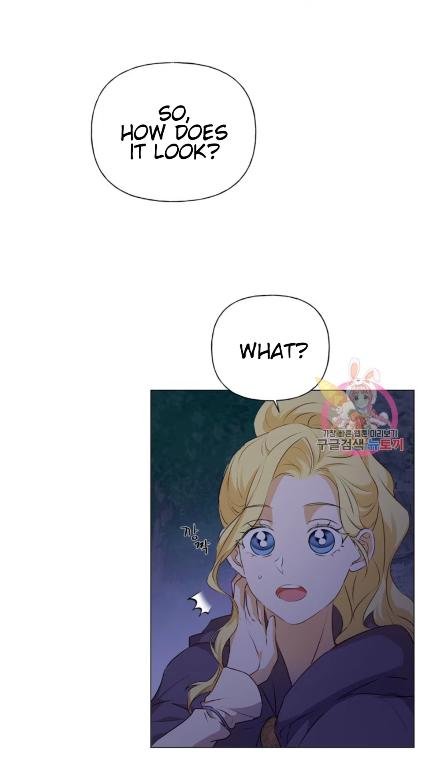 The Golden Haired Elementalist Chapter 59 - Page 28