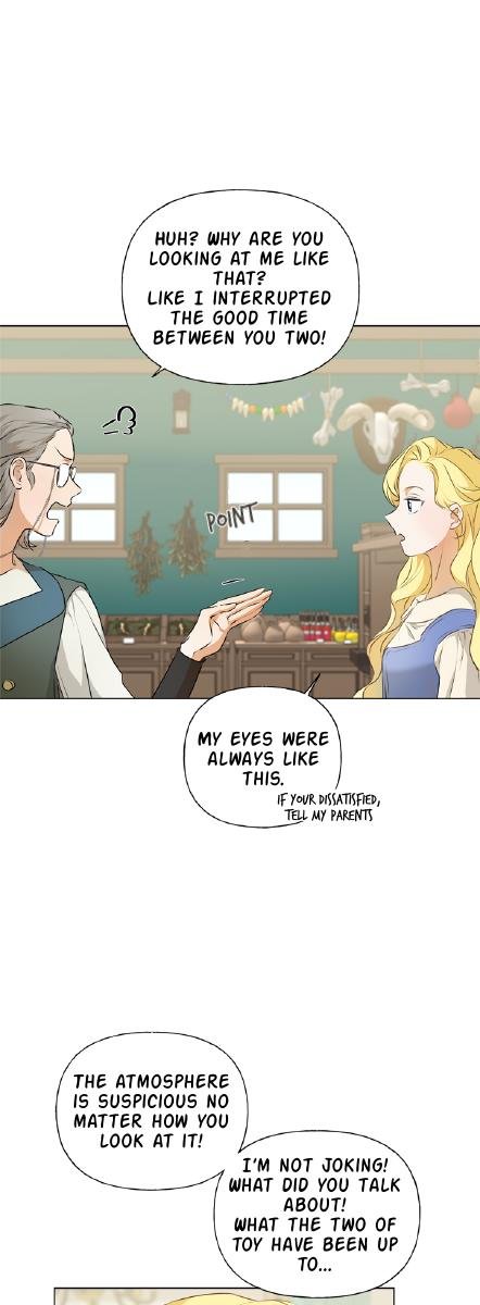 The Golden Haired Elementalist Chapter 66 - Page 15