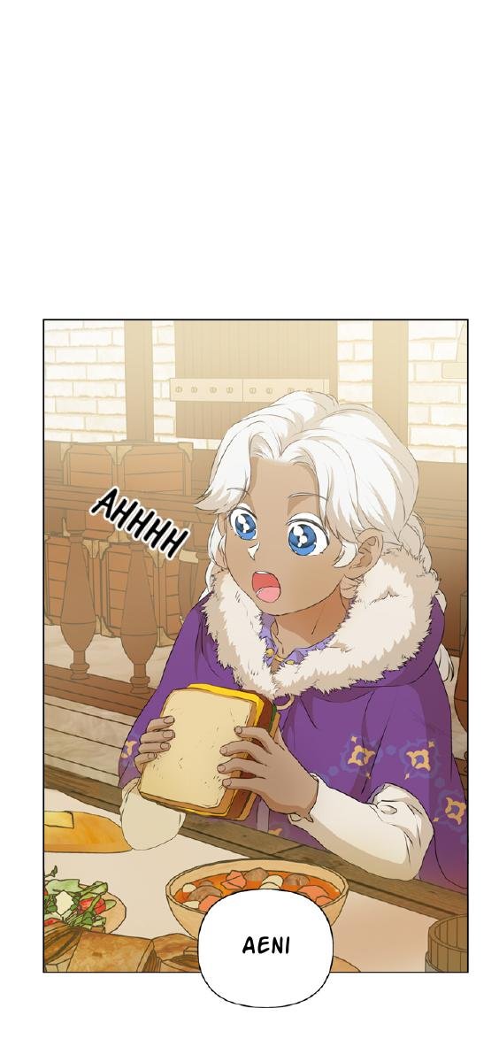 The Golden Haired Elementalist Chapter 66 - Page 46
