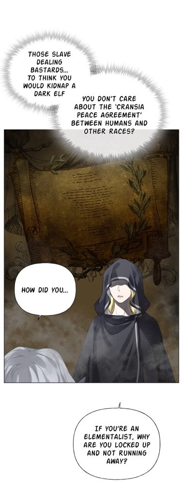 The Golden Haired Elementalist Chapter 69 - Page 3