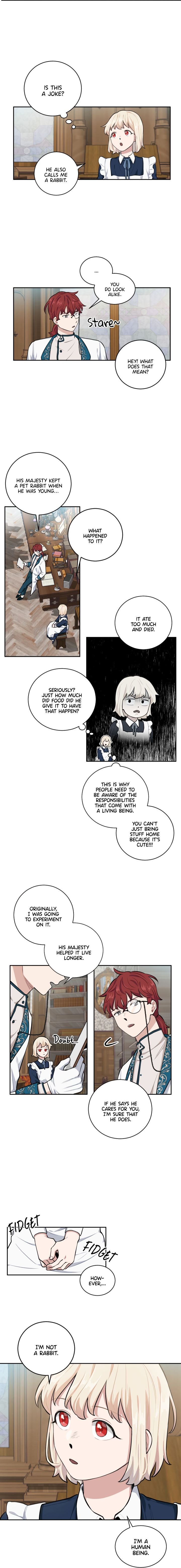I Became a Maid in a TL Novel Chapter 16 - Page 9